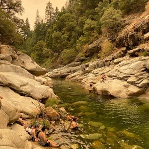 Meet your Posher, Louise